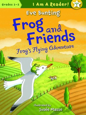 cover image of Frog's Flying Adventure